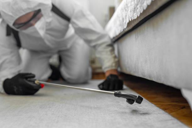 Professional Bed Bug Control technician working in Remington, IN